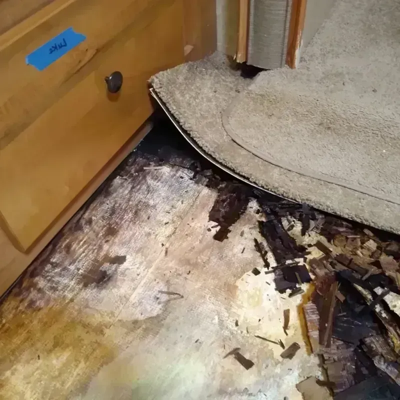 Best Wood Floor Water Damage Service in Jenkins County, GA